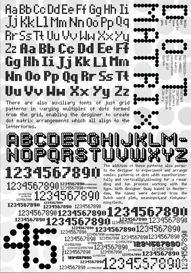 17.webp.jpg